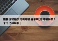 榆林区块链公司有哪些名单啊[落地榆林的5个千亿级项目]